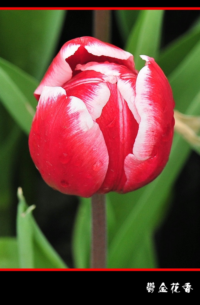 DSC_2774__conew1.jpg