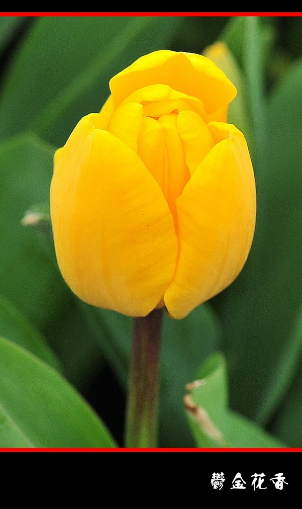 DSC_2781__conew1.jpg