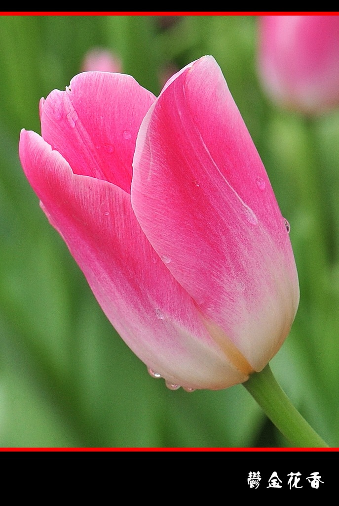 DSC_2784__conew1.jpg