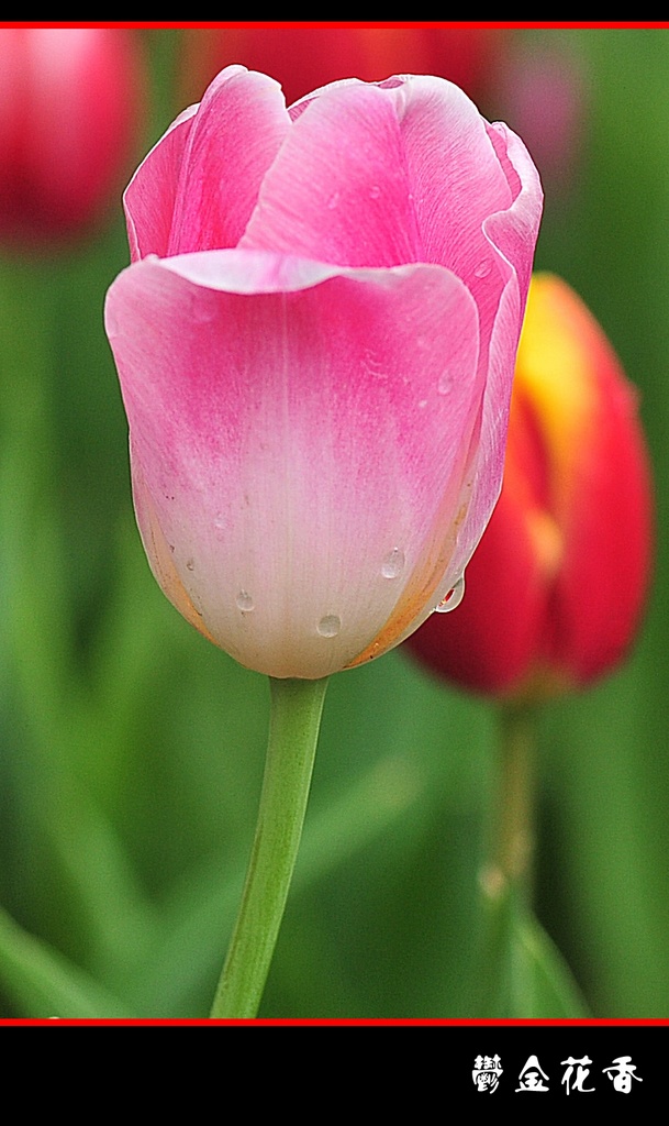 DSC_2787__conew1.jpg