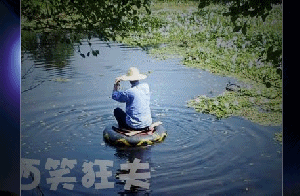 Ц_conew1_.gif