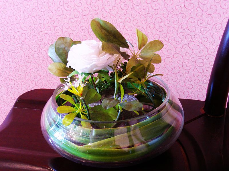 FILE0160.jpg