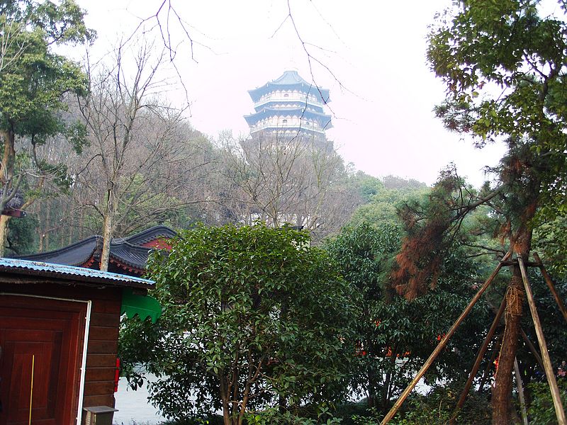FILE0620.jpg