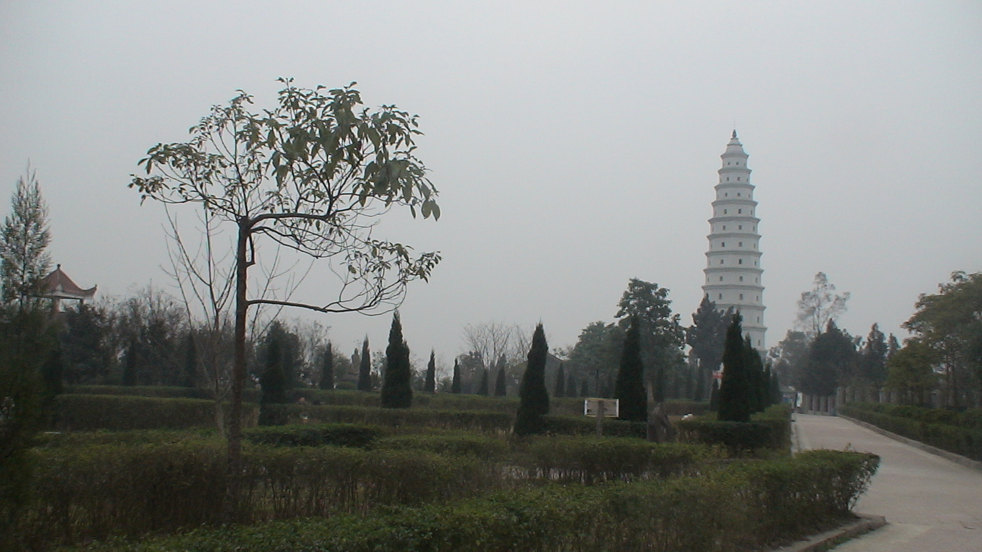 DSC00038.JPG