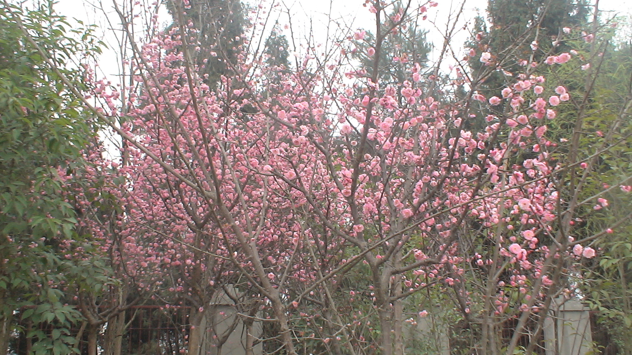 DSC00039.JPG