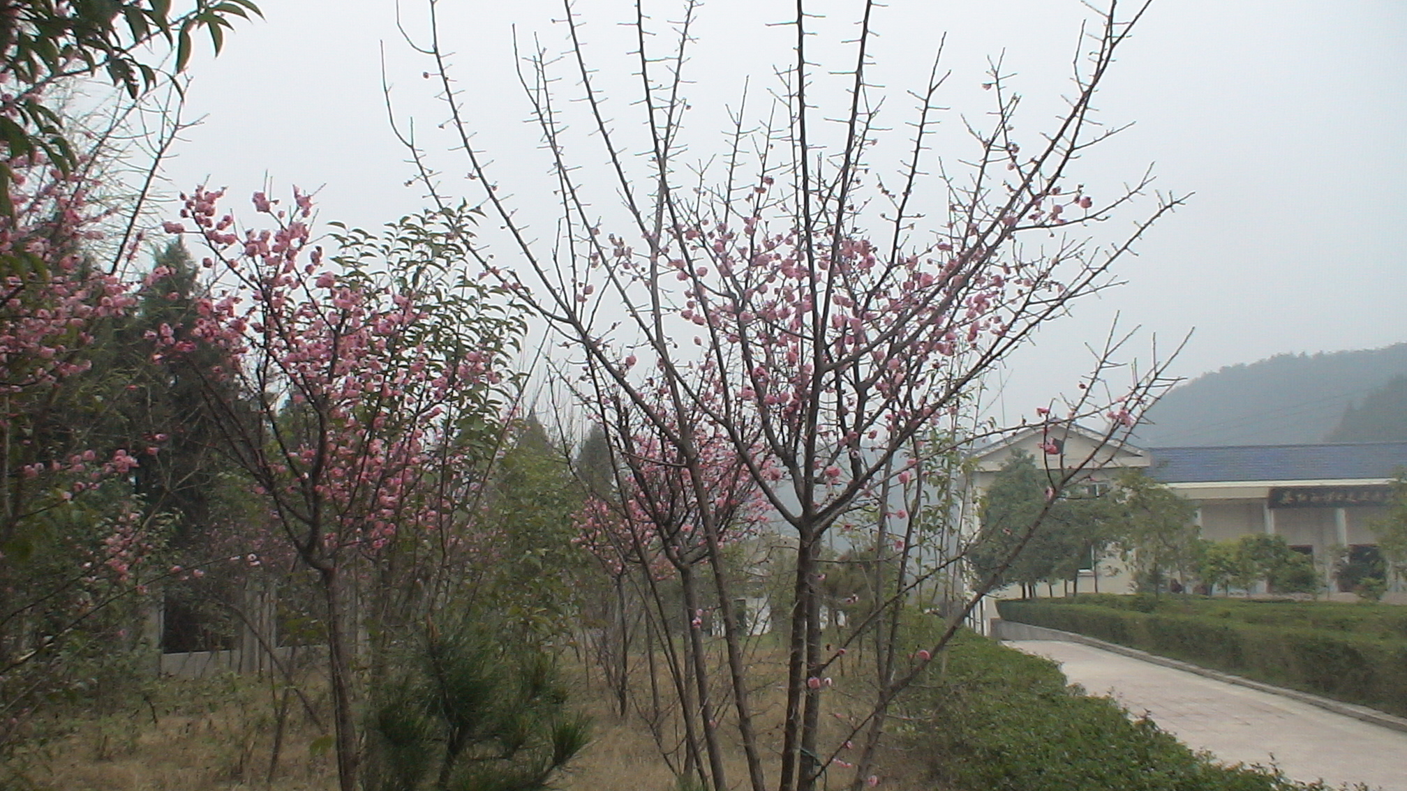 DSC00040.JPG