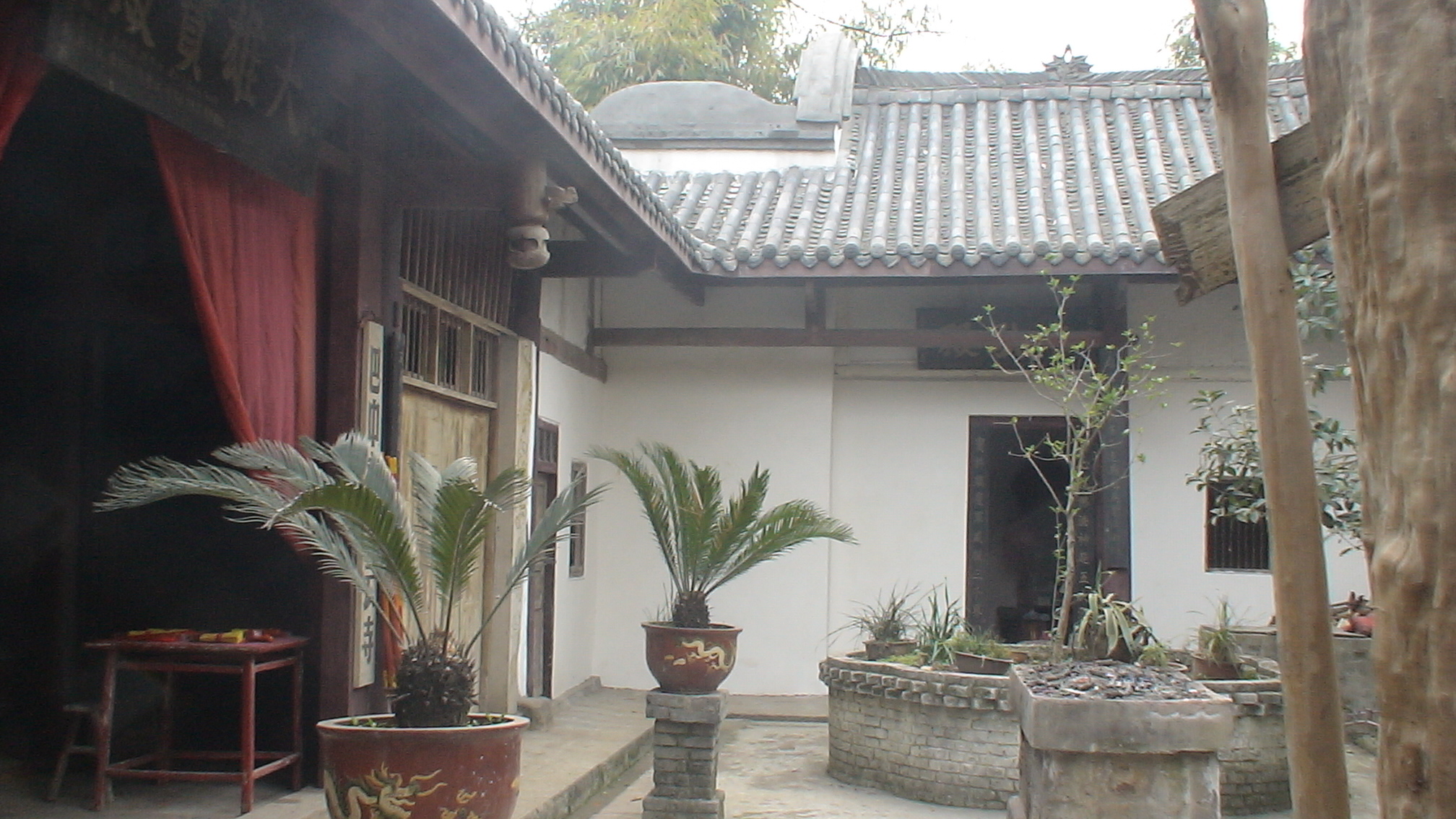 DSC00043.JPG