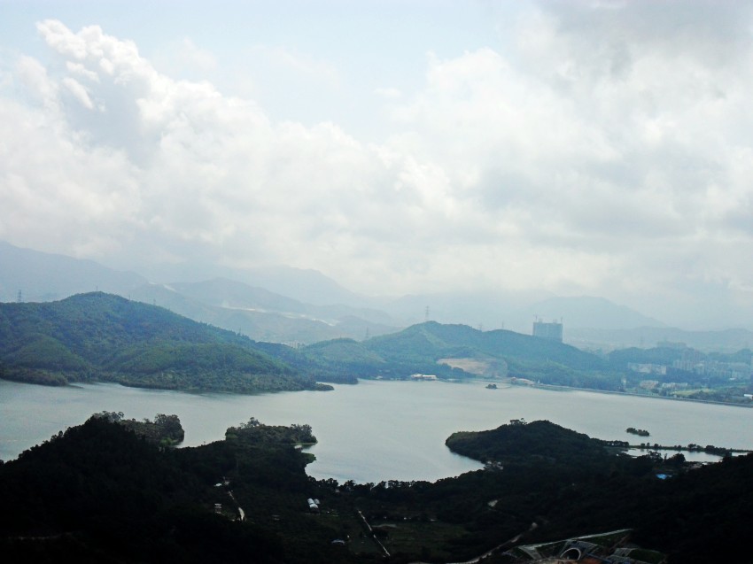 SAM_0227_conew1.jpg