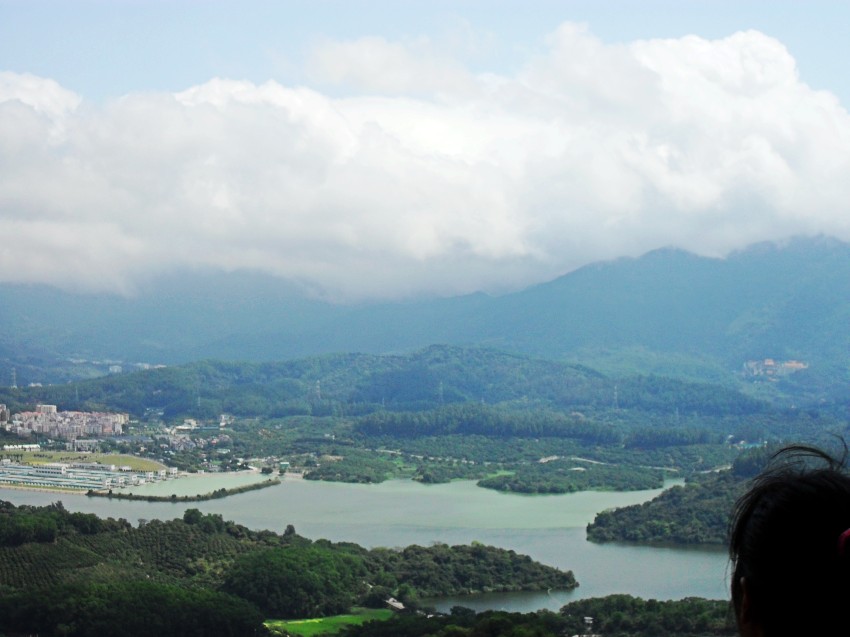 SAM_0231_conew1.jpg