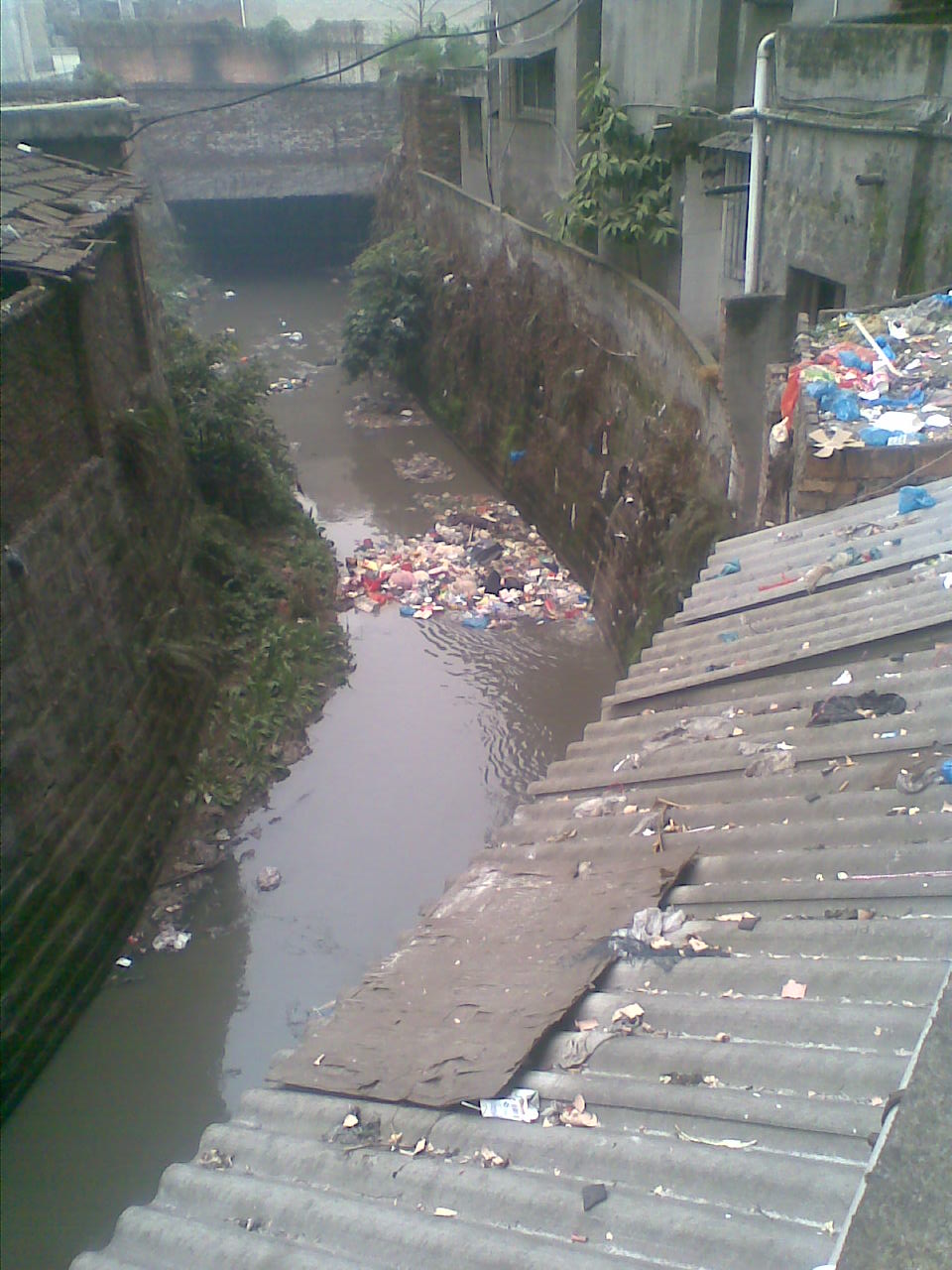 2010-2-2.jpg