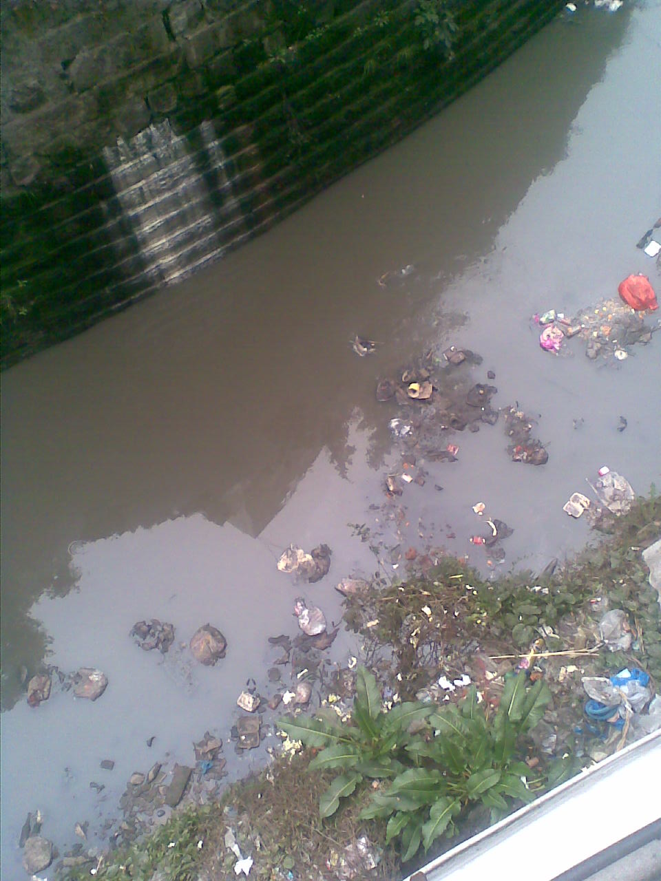 ͼ0092010-2-28.jpg