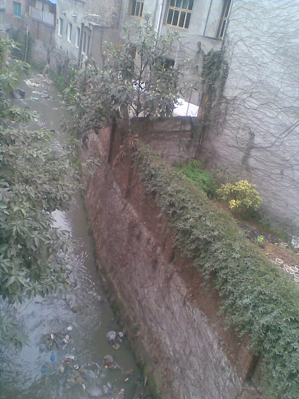 2010-2-28.jpg