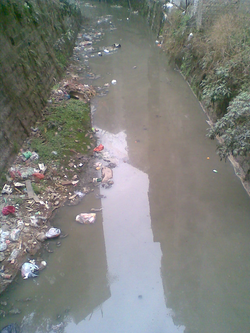 ͼ0062010-2-28.jpg