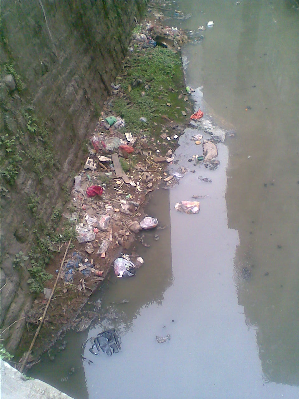 ͼ0082010-2-28.jpg