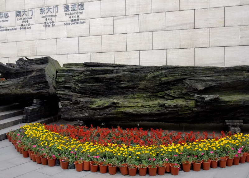 DSCF1879.jpg