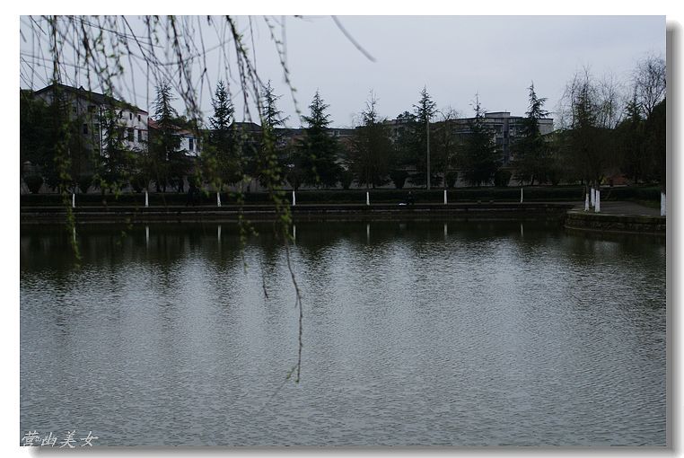 DSC01664.JPG