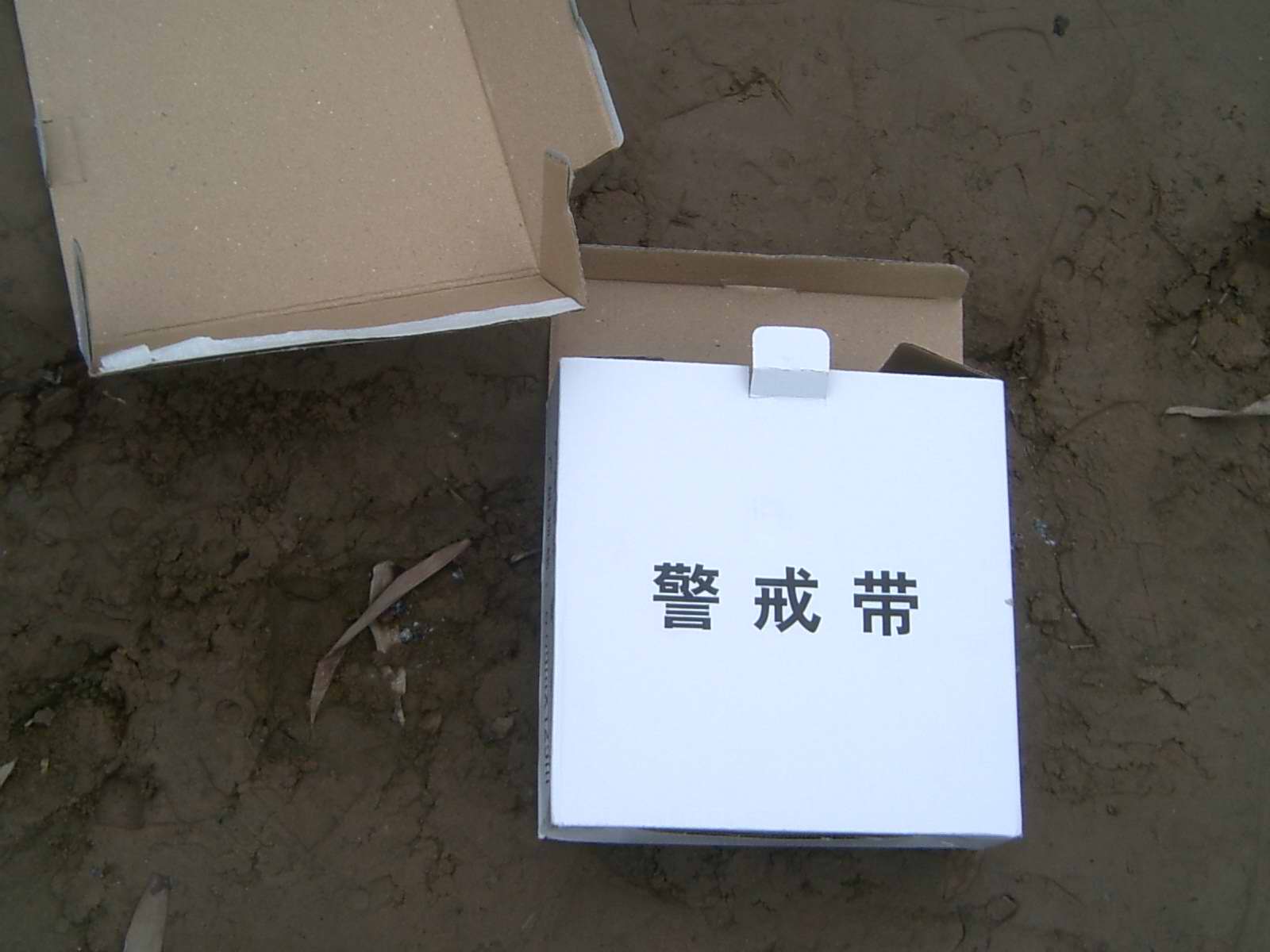 D0016351.jpg