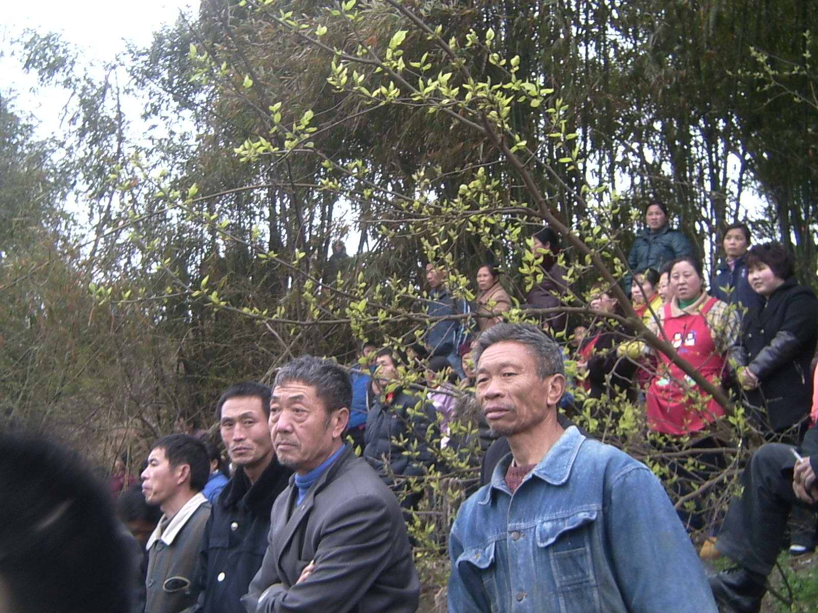 D0016417.jpg