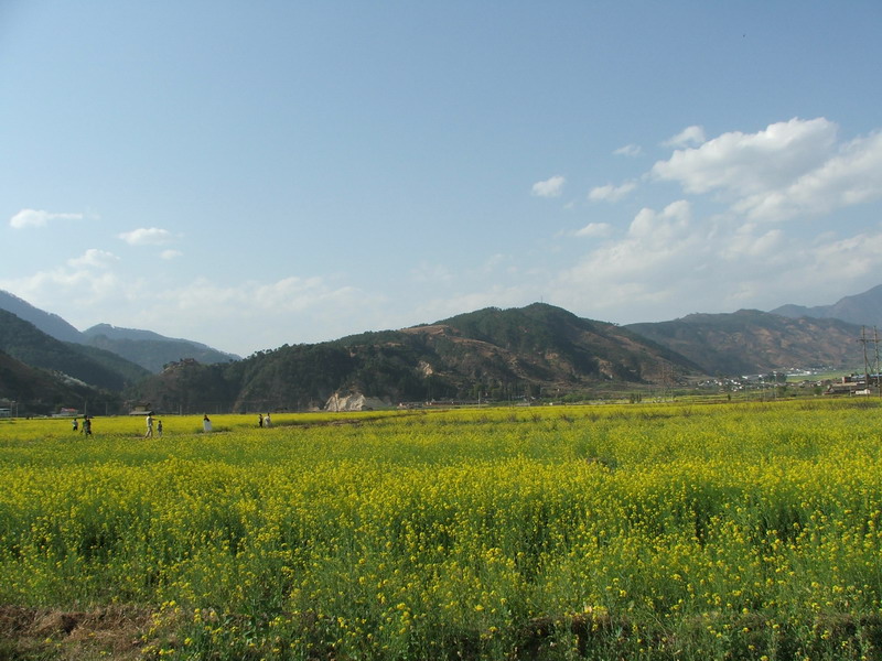 08.JPG