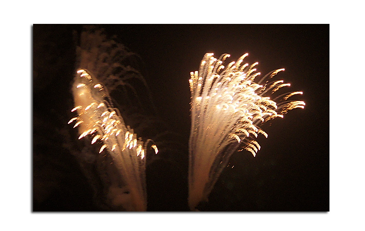 20103113362852441.jpg