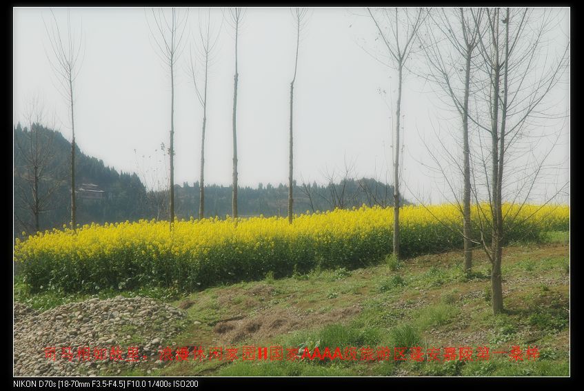 2010309ݰ˾֮ 016.jpg