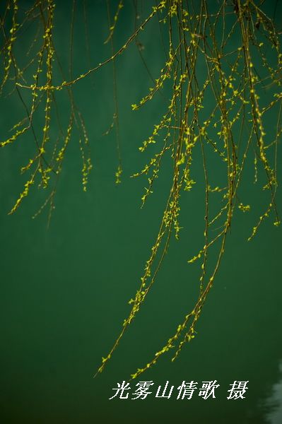 nEO_IMG_СϿ069.jpg