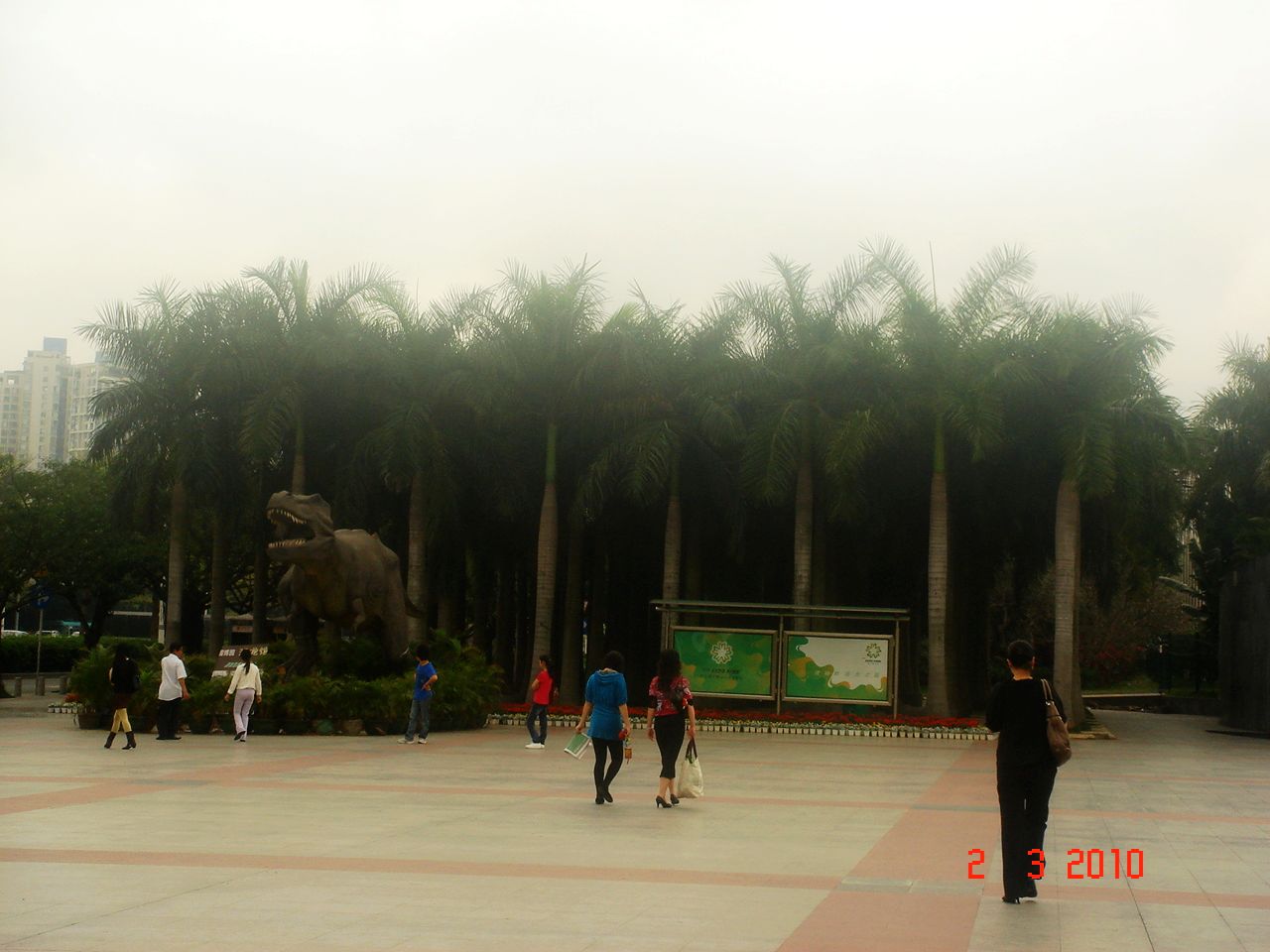 DSC02708.jpg