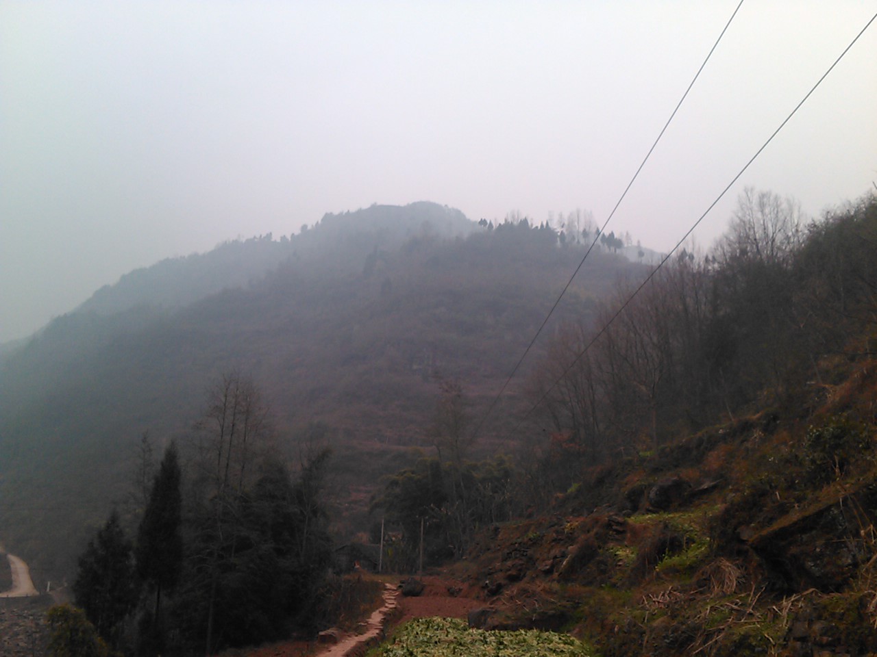 IMG150.jpg