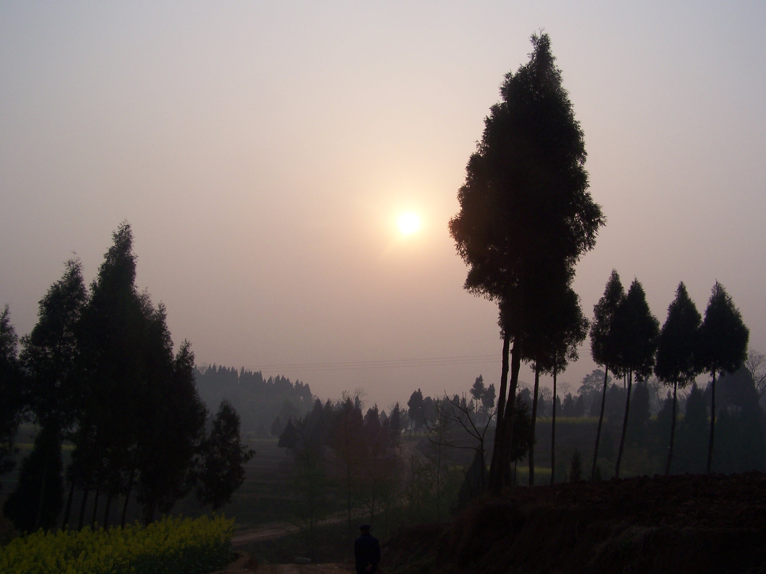 100_6937.JPG