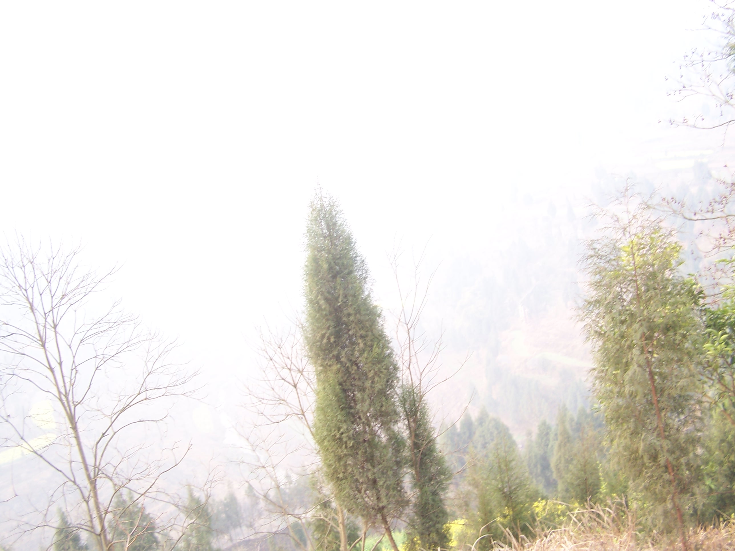 100_6939.JPG