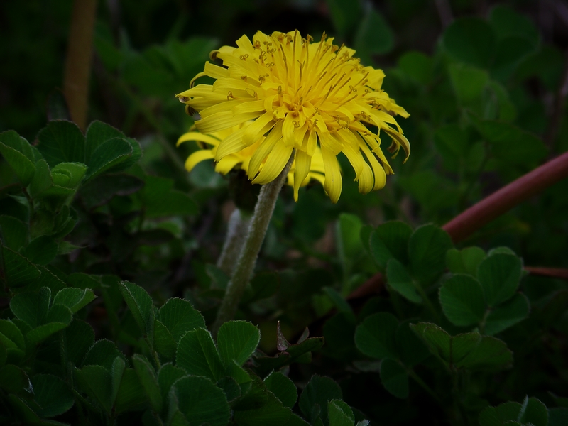 100_5157.jpg