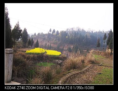 nEO_IMG_100_6946.jpg