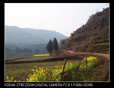 nEO_IMG_100_6969.jpg