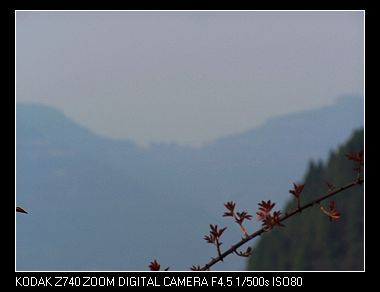 nEO_IMG_100_7042.jpg