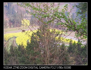 nEO_IMG_100_7054.jpg