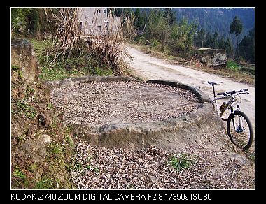 nEO_IMG_100_7050.jpg