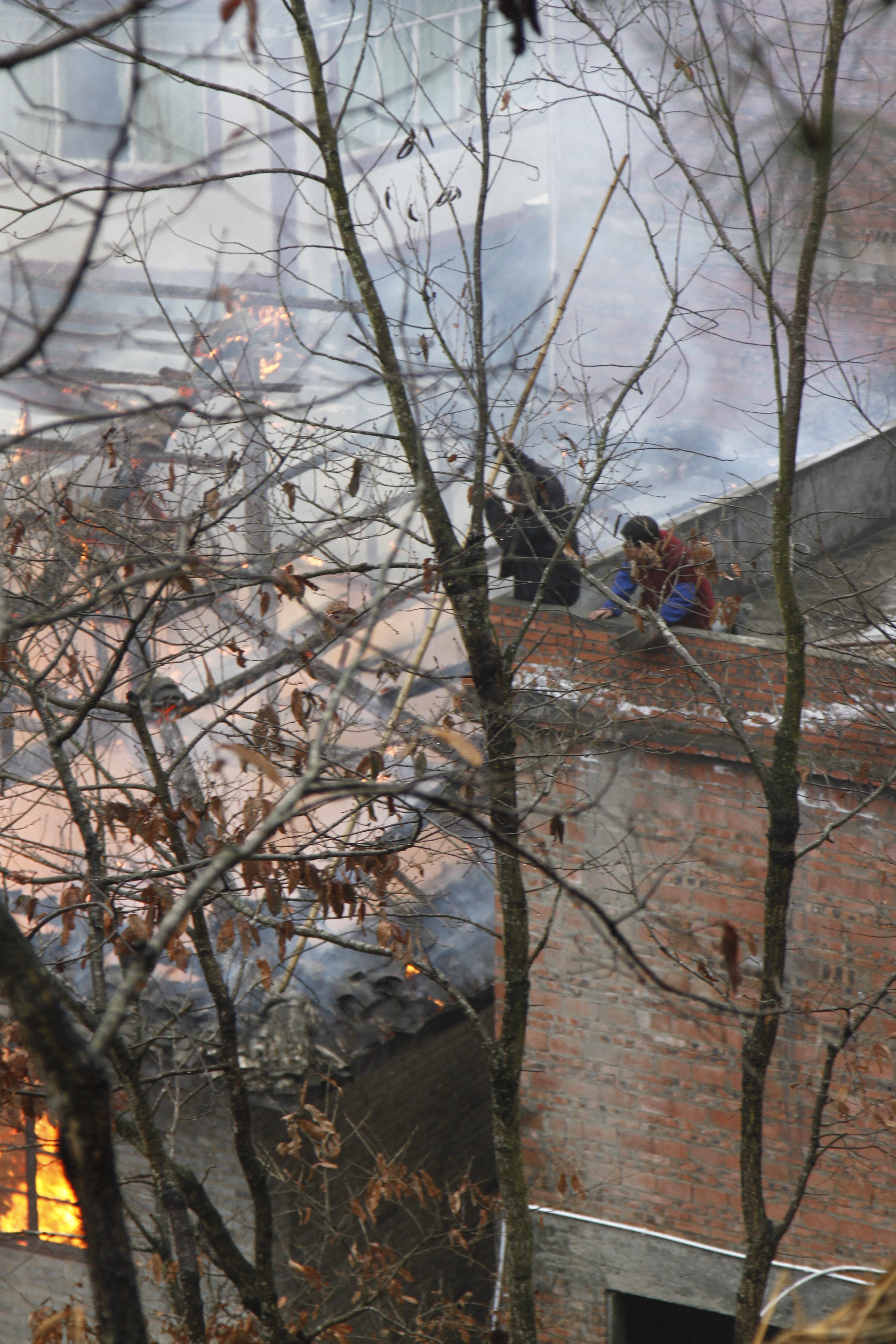 _MG_1086.JPG