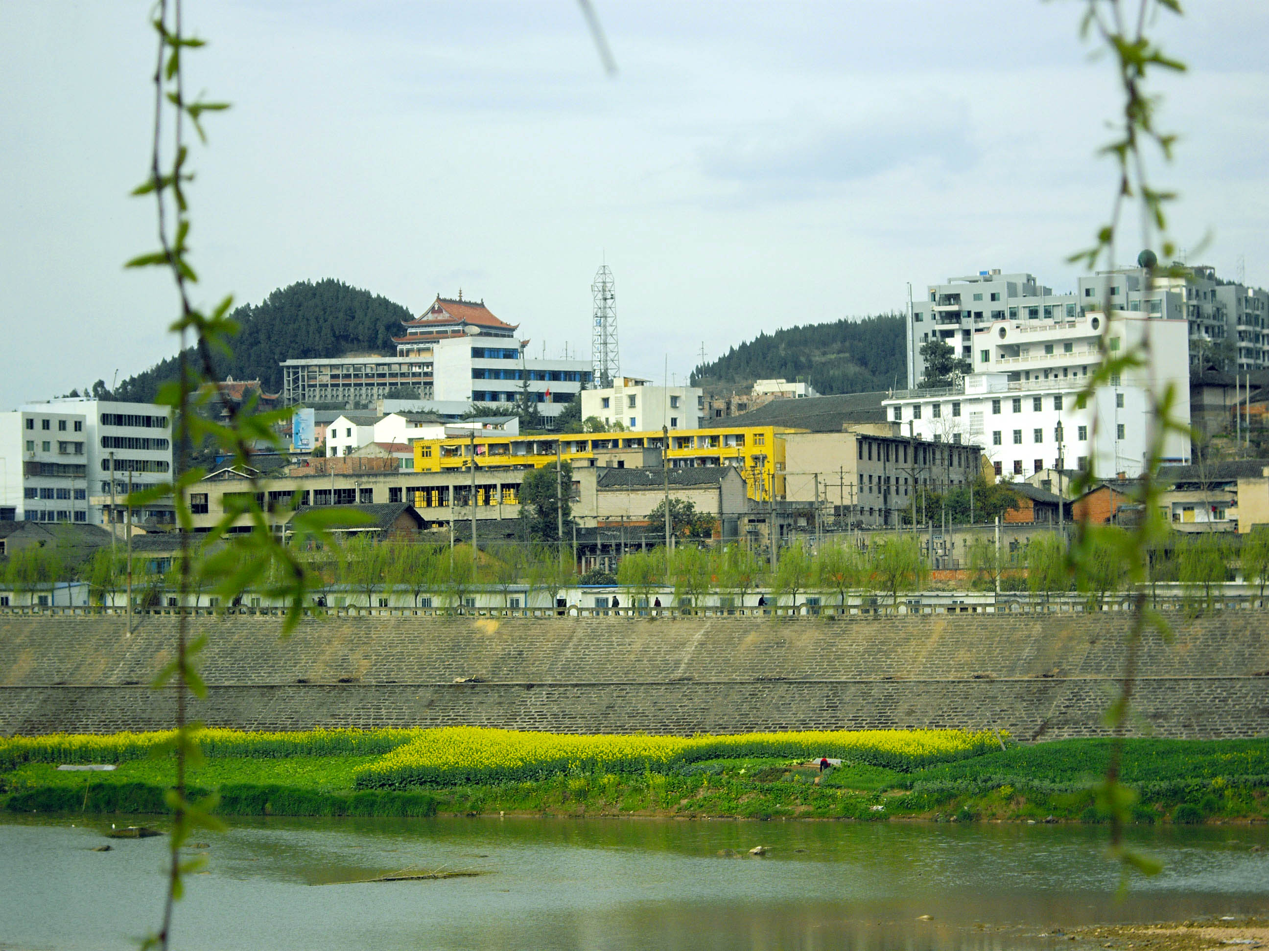 1003 011.jpg