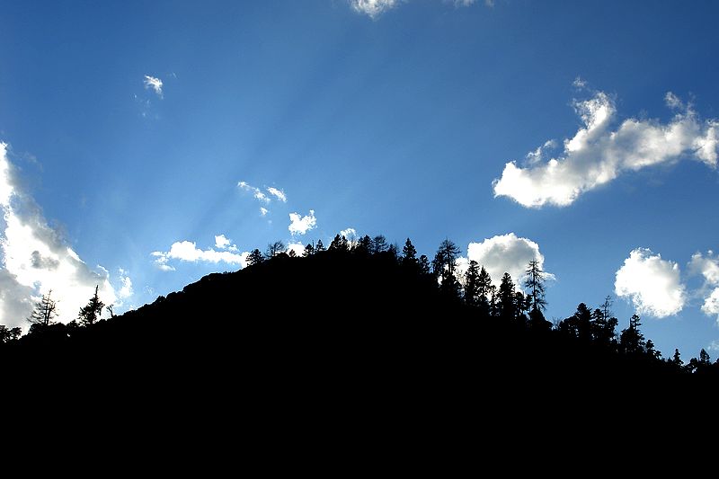 DSC03290.jpg