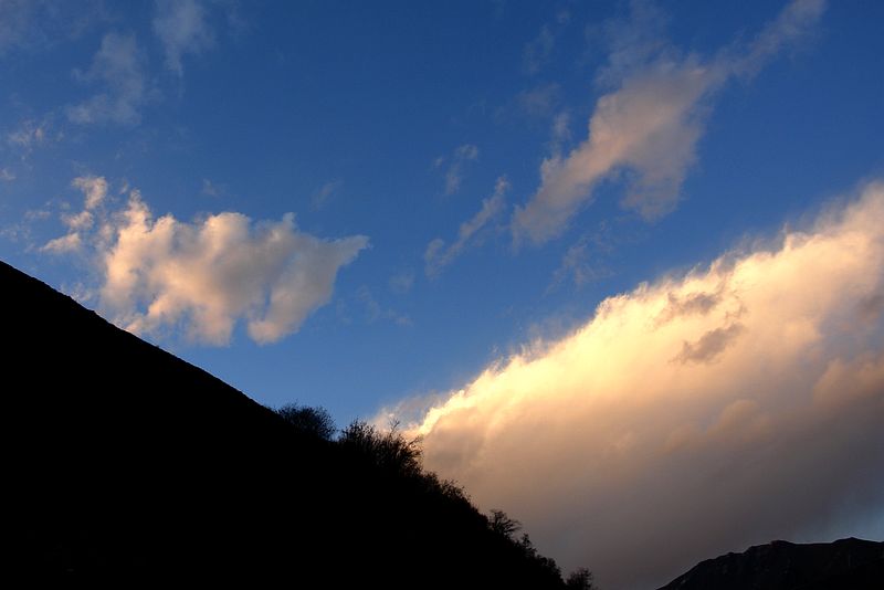 DSC03385.jpg