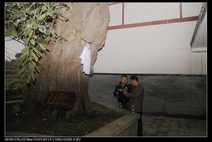 ϳιٿ 060.jpg