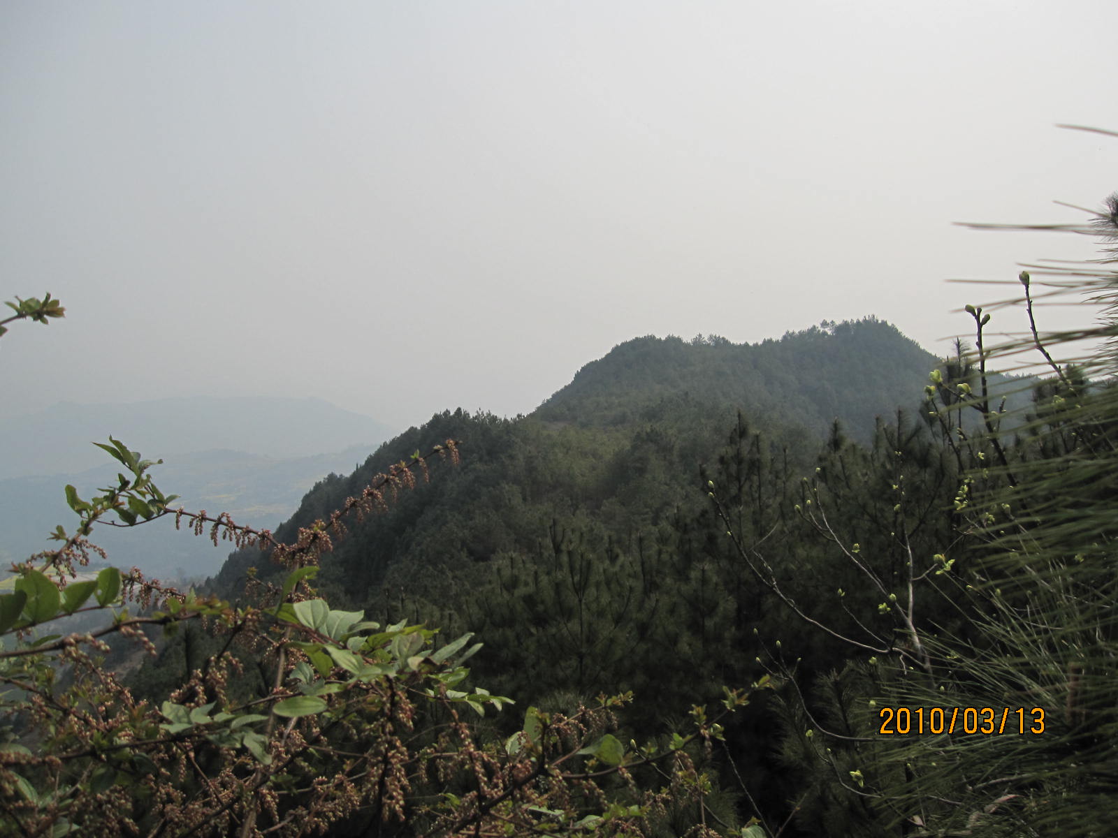 IMG_1499.jpg