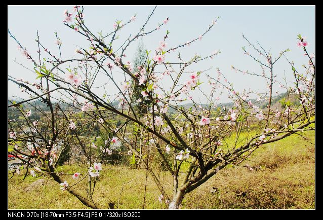 2010317¿һ 020.jpg