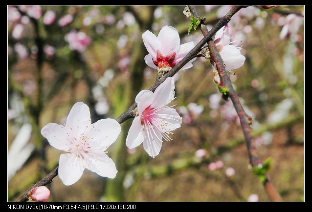 2010317¿һ 020.jpg