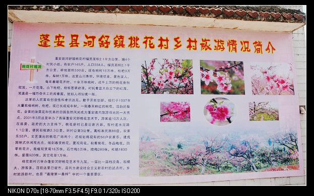 2010317¿һ 020.jpg