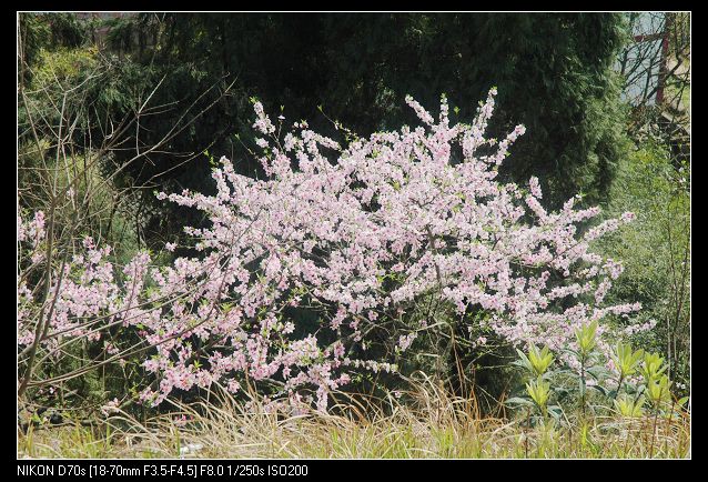 2010317¿һ 020.jpg