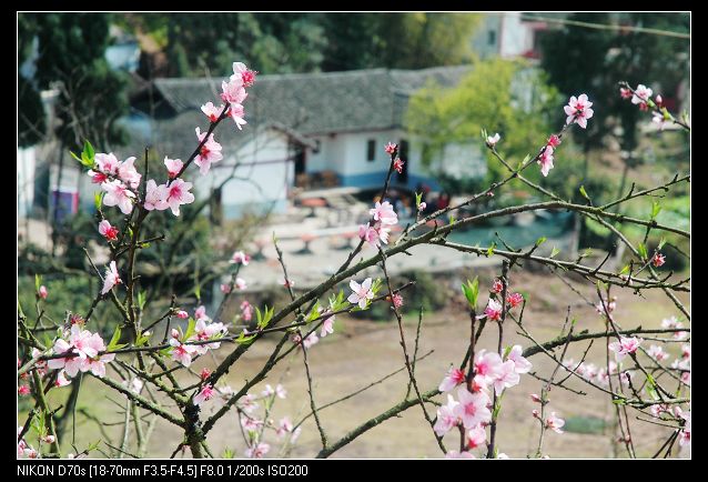 2010317¿һ 020.jpg