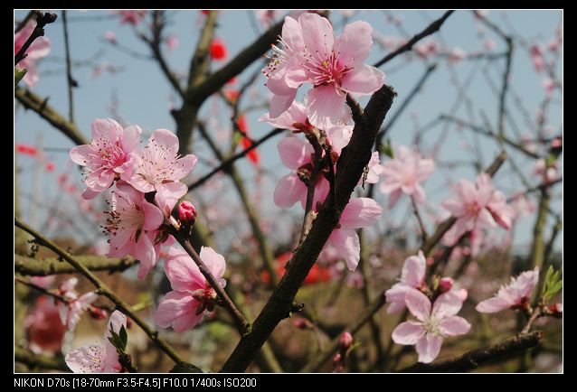 2010317¿һ 020.jpg