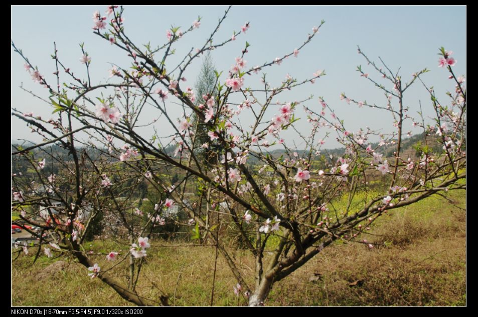 2010317¿һ 020.jpg
