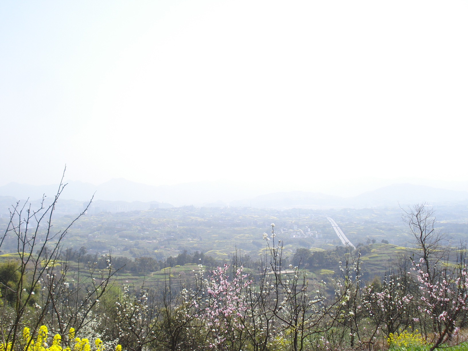 DSC03207.JPG